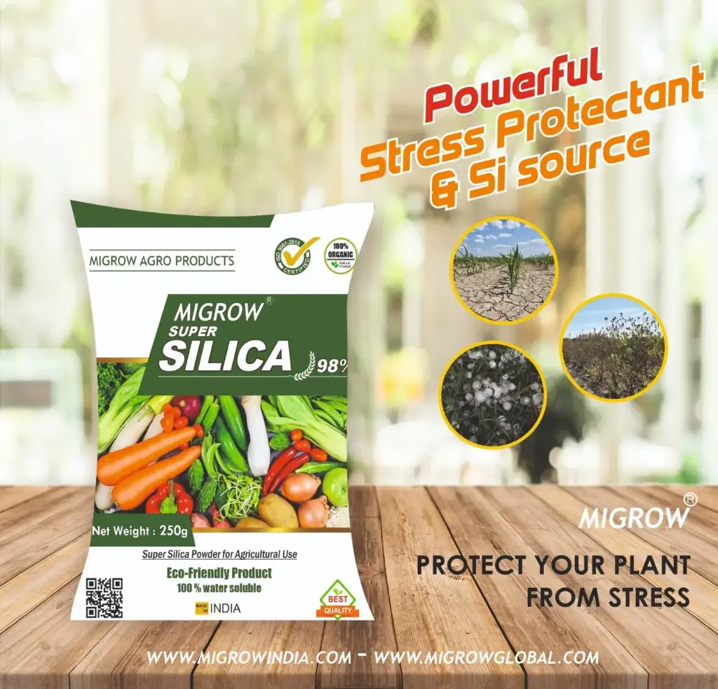 Migrow Silica Superfine Fertilizer 250gm