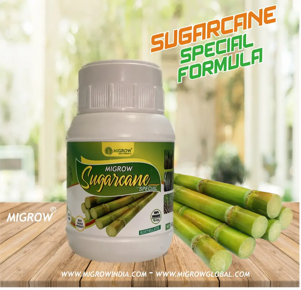 Migrow Sugarcane Special 500ml