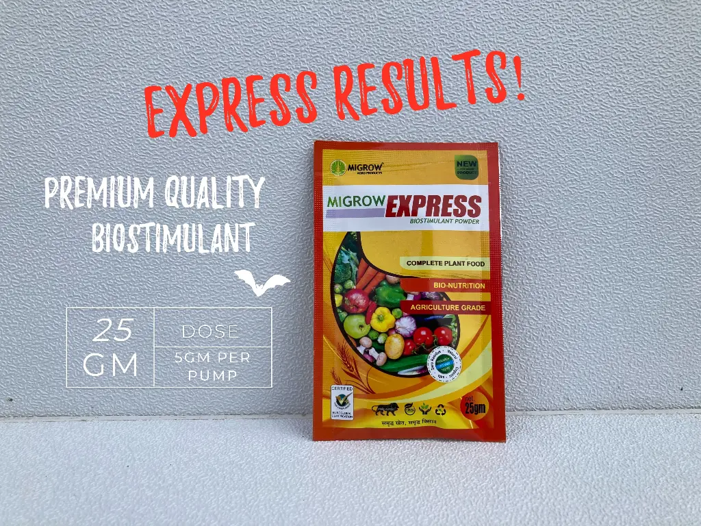 Migrow EXPRESS powder 25gm