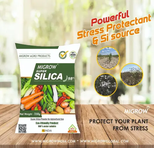Migrow Silica Superfine Fertilizer 250gm