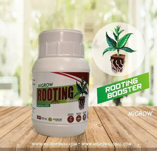 Migrow Rooting Special 1 Litre