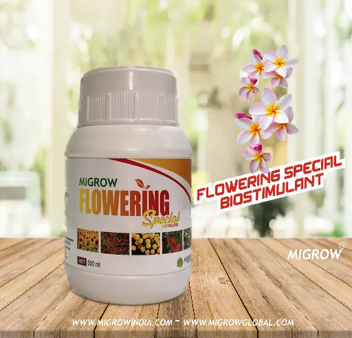 Migrow Flowering Booster 1 Litre